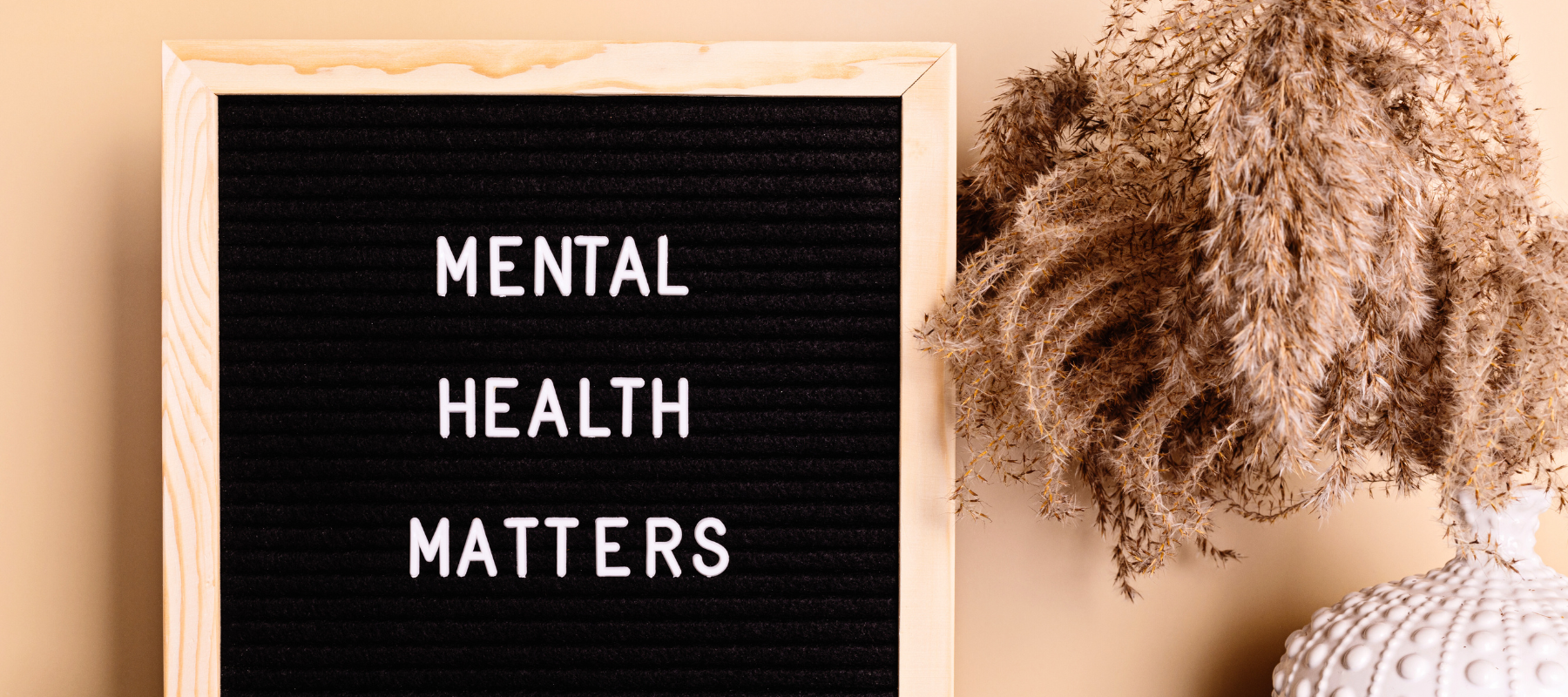 Digital mental health startup Anise expands access to culturally-responsive care in three new markets in the U.S.